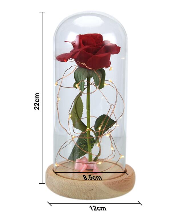 Dome Forever Rose